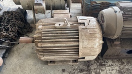 Motor el�trico 125 cv