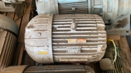 Motor el�trico b�falo 30 cv