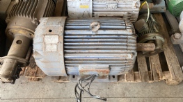 Motor el�trico b�falo 50 cv